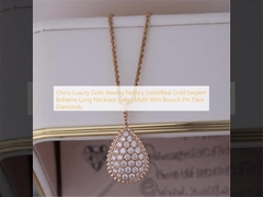 चीन लक्जरी सोने के आभूषण फैक्टरी सर्परियल गोल्ड सर्पेंट बोहेम लंबा हार ब्रोच पिन पेव डायमंड के साथ बड़ा मोटिफ